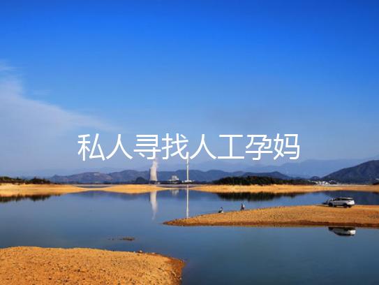 私人寻找人工孕妈